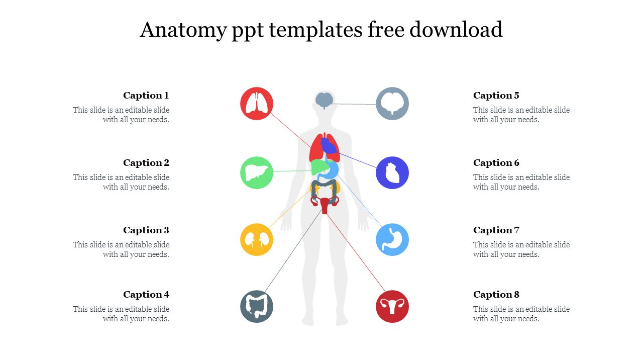 Anatomy ppt templates free download